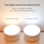 Motion Sensor Night Light LED White