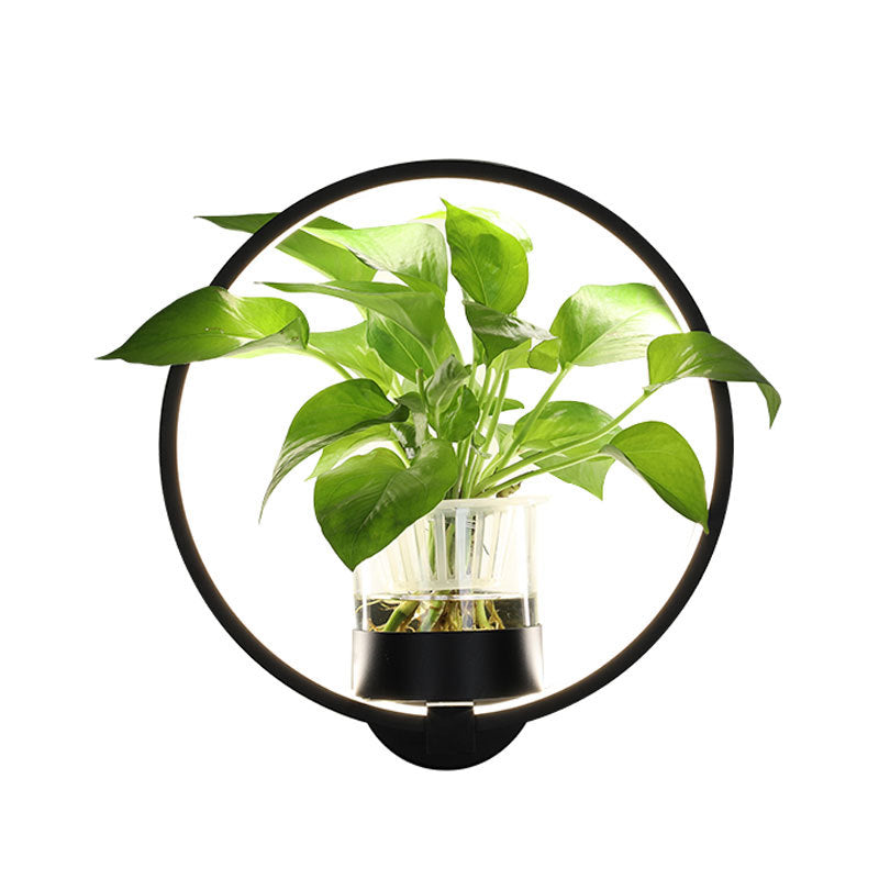 Modern Decorative Wall Lamp Soft LED Accent Light