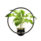 Modern Decorative Wall Lamp LED