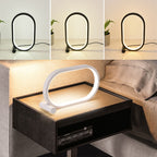 Oval Acrylic Night Lamp USB Touch Dimmable LED
