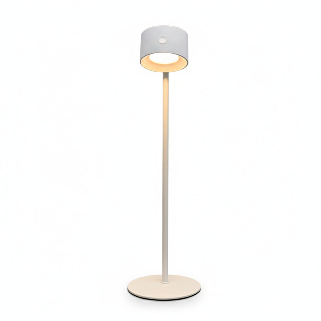 magnetic LED table lamp  RGB white