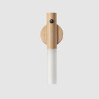 motion sensor wall light Ash